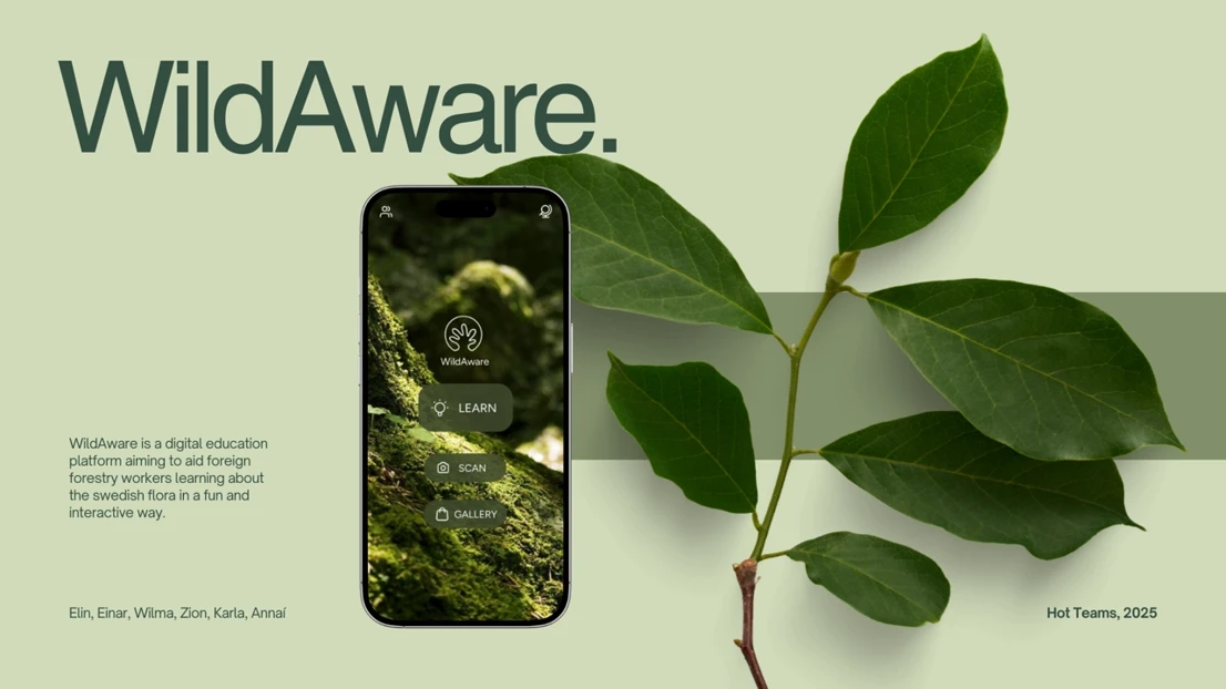 A cell phone with a picture of a leaf on it.
