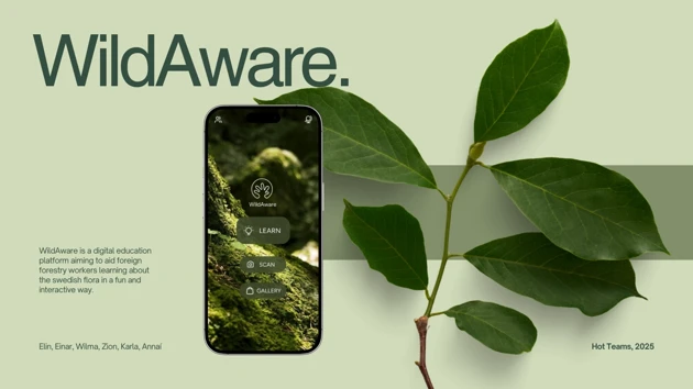A cell phone with a picture of a leaf on it.