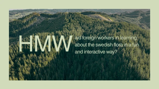 A picture of a forest with the words hww above it.