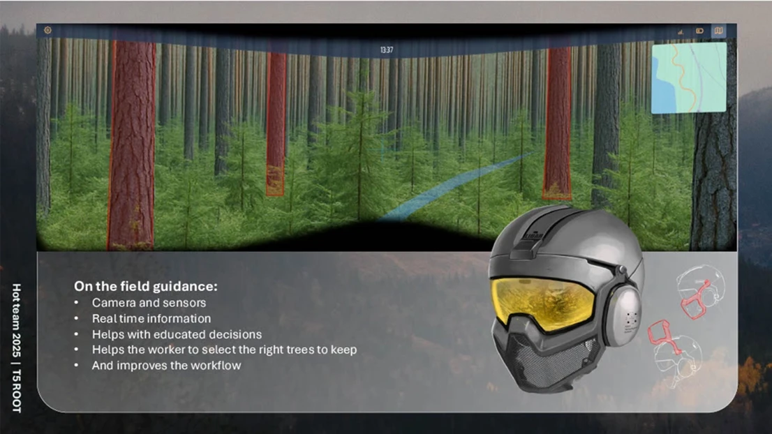 A picture of a forest with trees and a helmet.