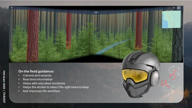A picture of a forest with trees and a helmet.