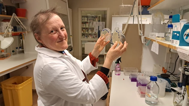 Bild på Teresa Frisan i labbet på Institutionen för molekylärbiologi