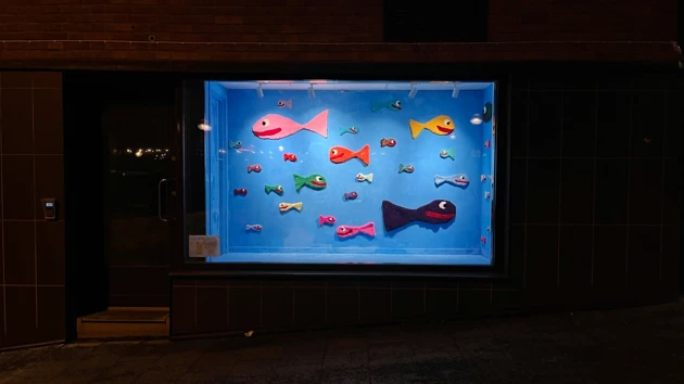 Färgglada fiskar i skyltfönster