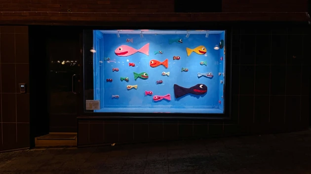 Färgglada fiskar i skyltfönster