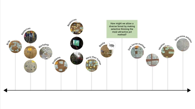 A graph of steps in the product development.