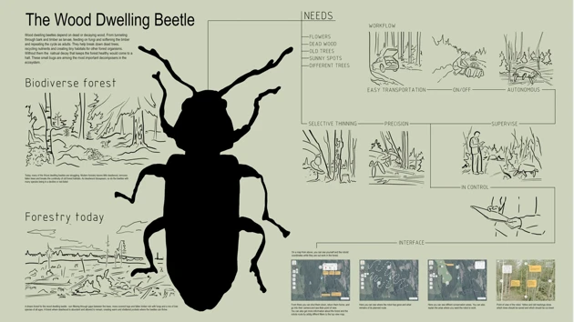 A drawing of a beetle on a green background.