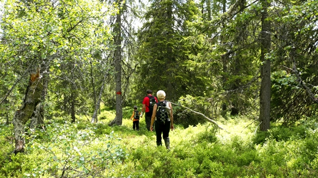 Krokig väg för kreativ problemlösare