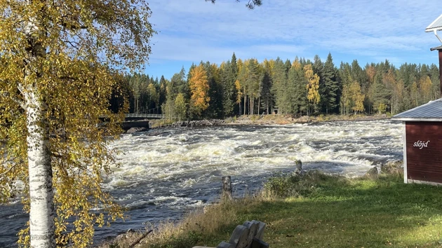 A wooden bench sitting next to a river.