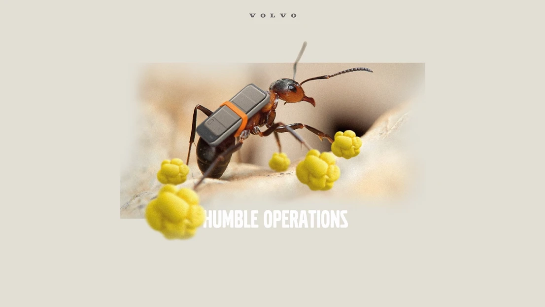 A picture of a bug with a cell phone on it's back.