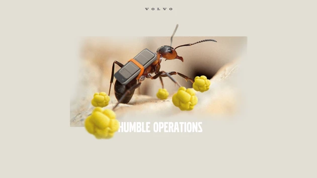 A picture of a bug with a cell phone on it's back.