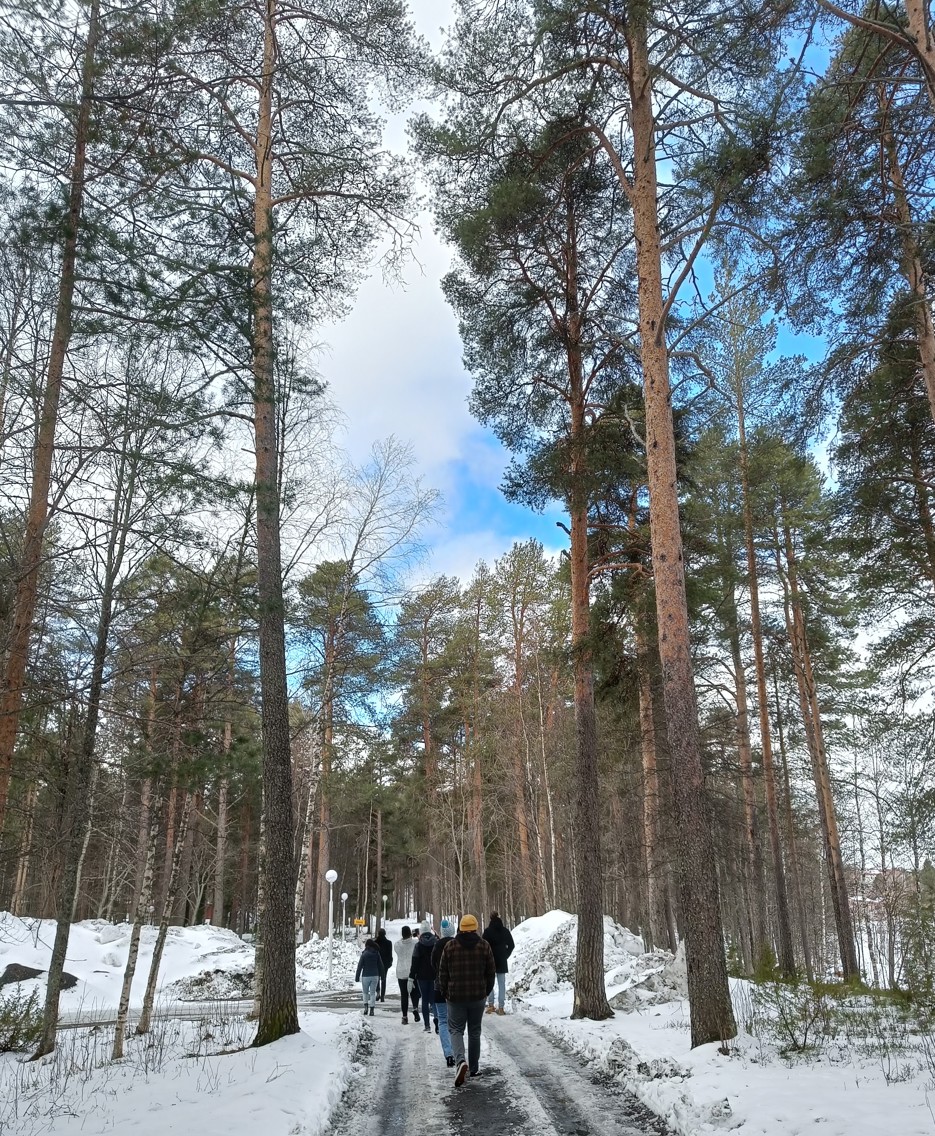 Människor promenerar längs med en väg med höga träd på sidorna.