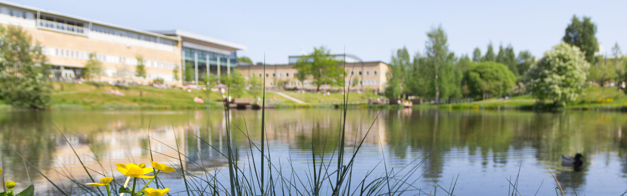 Campusdammen