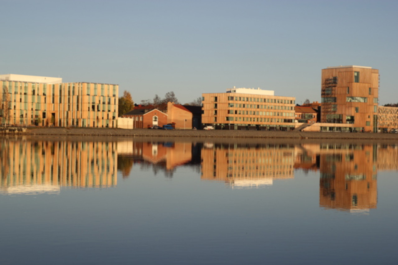 Bild på Konstnärligt campus