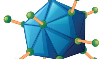 Illustration på adenovirus.