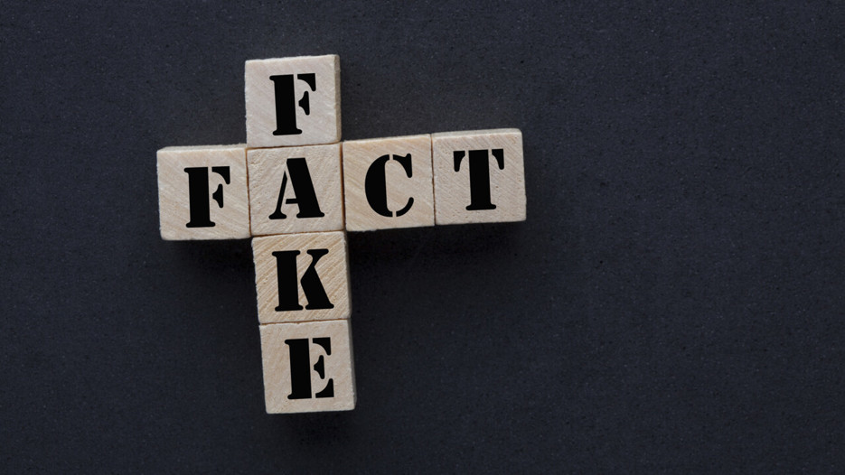 Bild med texten Fake fact