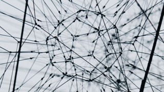 network