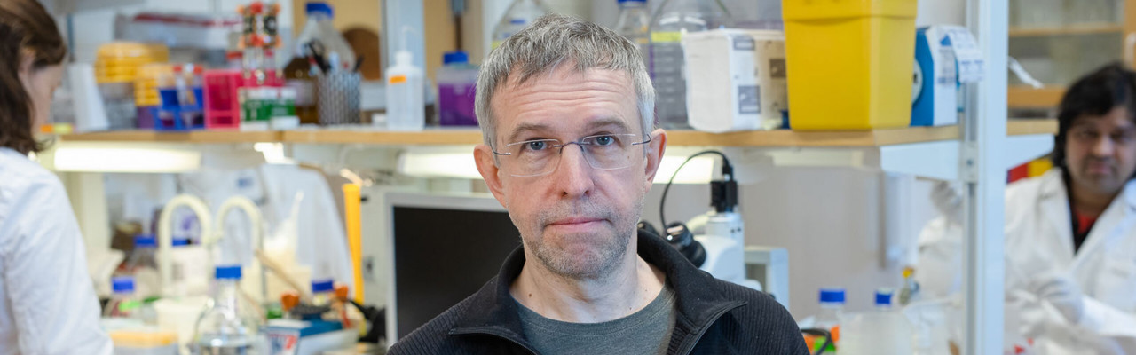 Andrei Chabes lab, Umeå University, Sweden