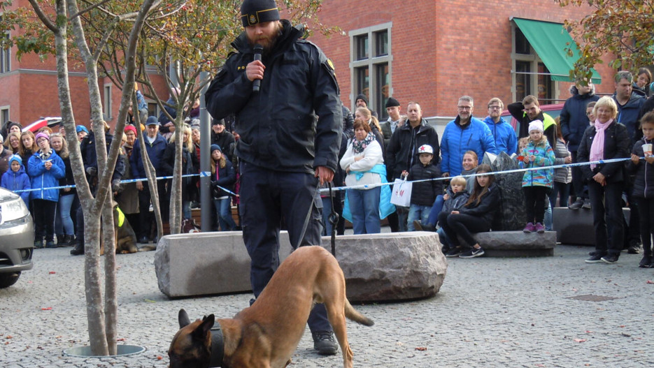 Beredskapsdag i Umeå