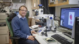 Porträtt på Oliver Billker, anknuten som professor till Institutionen för molekylärbiologi, Umeå universitet.