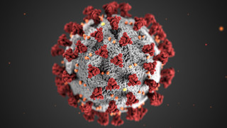 Illustration på ett coronavirus.