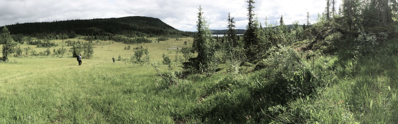 Bild från fältdag i fjällen