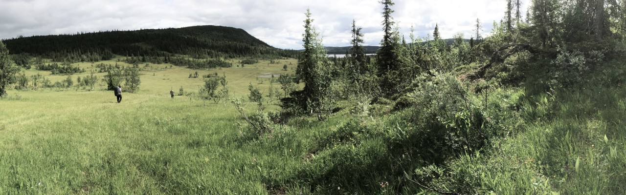 Bild från fältdag i fjällen