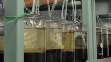 Darya tester sediment 2015