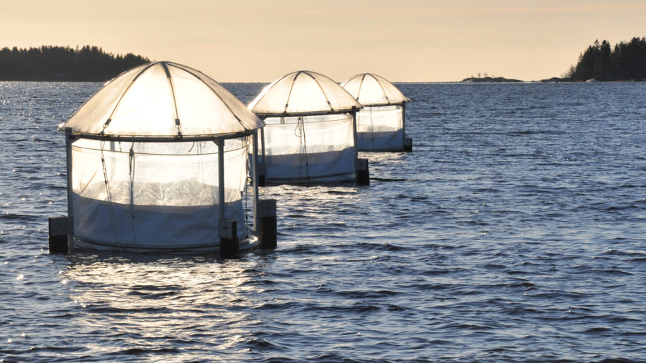 Ställningar med plastsäckar i som ligger placerade i havet.