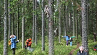 Människor och djur i skogen
