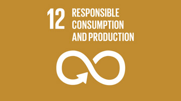 Goal 12 - Responsible Consumption and Production