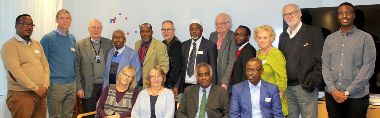 Group photo Somali-Swedish research cooperation