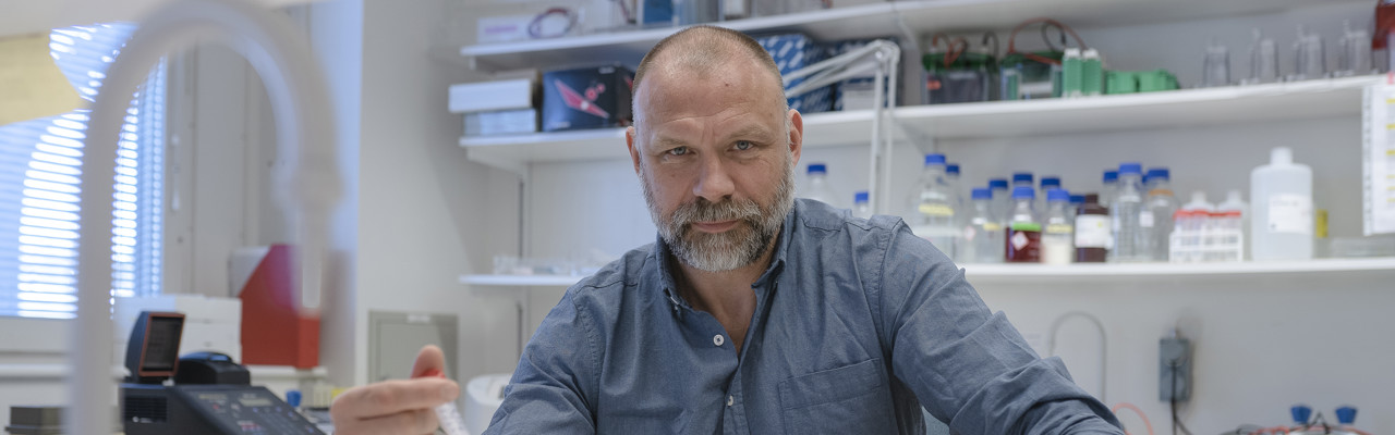professorsbilder årshögtiden  Johan Holmberg