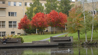 Höst på Campus
