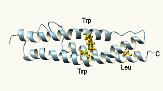 Detalj i ett protein