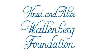 Wallenberg Academy Fellow