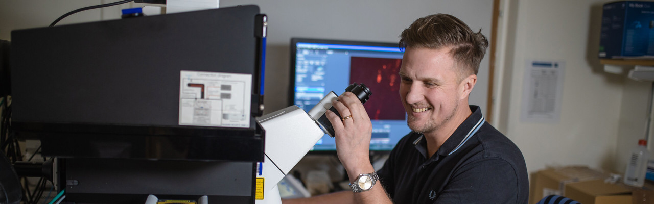 light microscopy bicu