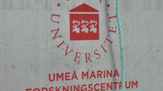 UMF:s logga på båt
