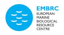 Logotype
