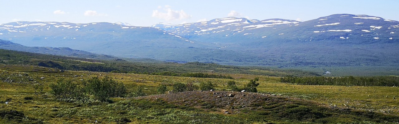 Arktiskt landskap