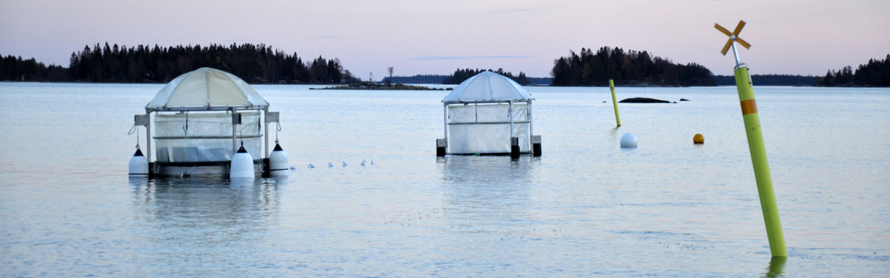 mesokosmprototyp i havet utanför Norrbyn