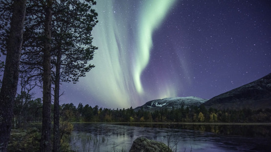 TAIGA är ett centrum i norra Sverige. Bilden visar sjö och skog upplyst av norrsken på natthimmel.