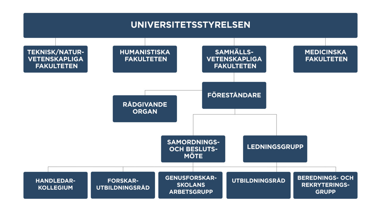 UCGS organisationsskiss