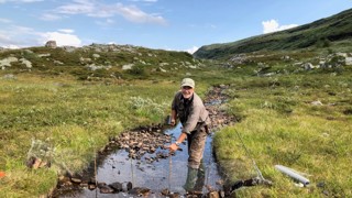Pär Byström provfiskar i Jämtland