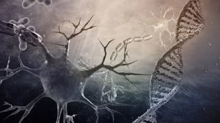 DNA molecules and neurons