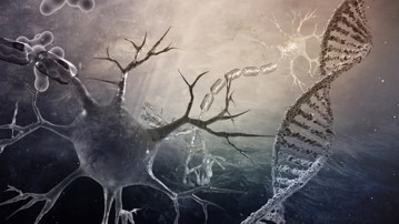 DNA molecules and neurons