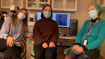 Teresa Frisan lab