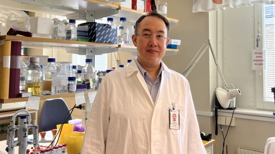 Thanat Chookajorn, Institutionen för molekylärbiologi