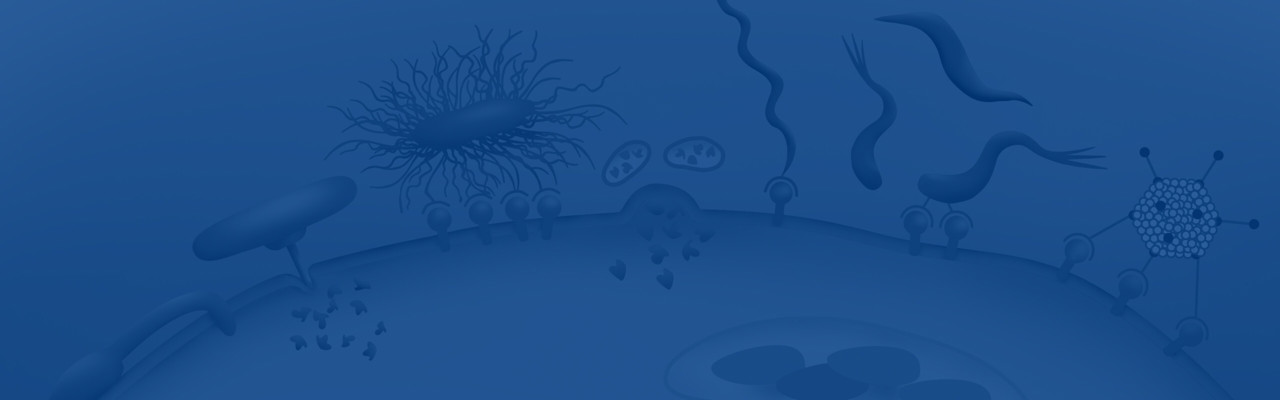 Illustration av olika mikrobiella infektionsmekanismer