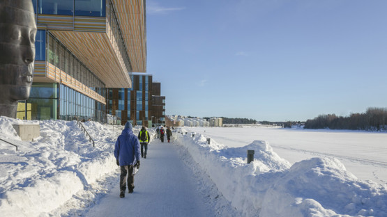 Film: Winter in Umeå