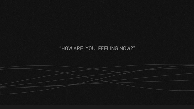 Regularly reflecting on and understanding our own emotions is crucial. This service aims to provide valuable insights into our emotional well-being.